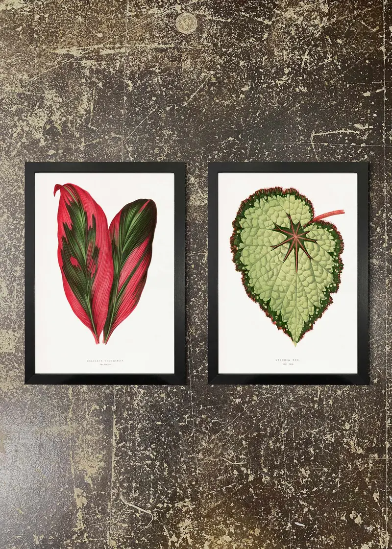 2-Print Botanical Leaf Duo – Subtle Nature Wall Art 04 1