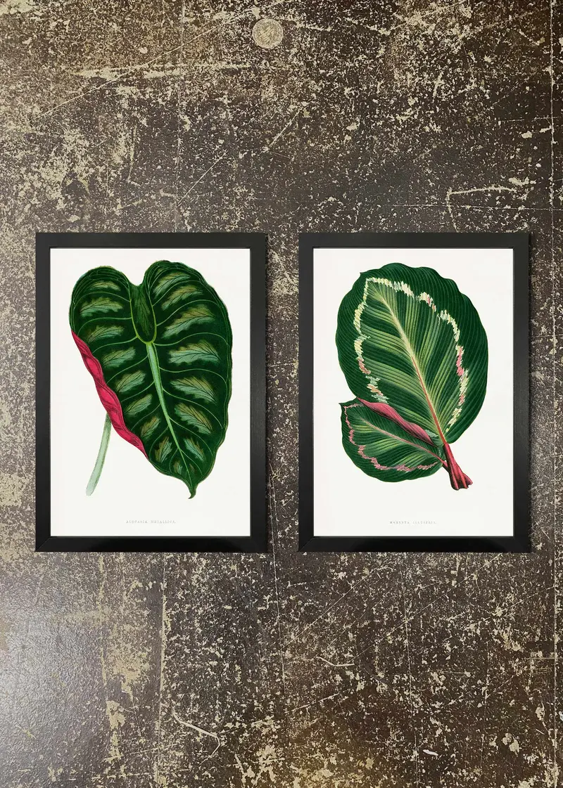 2-Print Botanical Leaf Set – Simple Greenery Framed Art 02 1