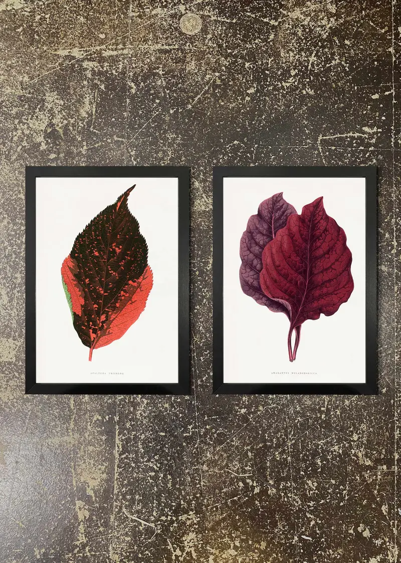 2-Print Leaf Illustration Pair – Calming Botanical Wall Decor 03 1