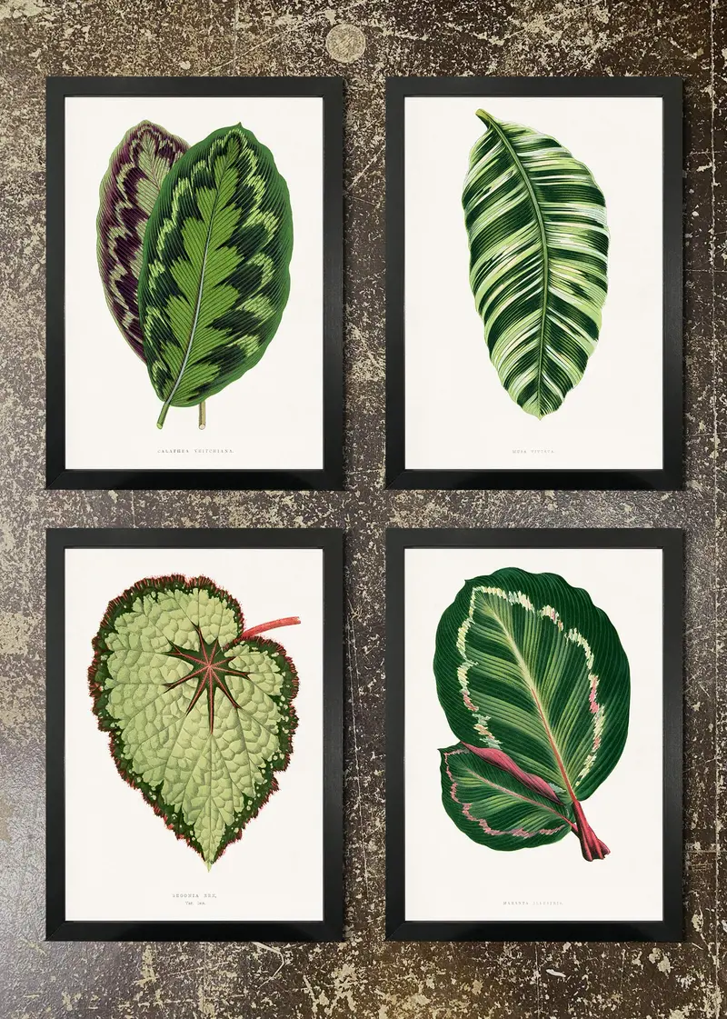 4-Print Botanical Leaf Art Bundle – Nature-Inspired Wall Decor 06 1