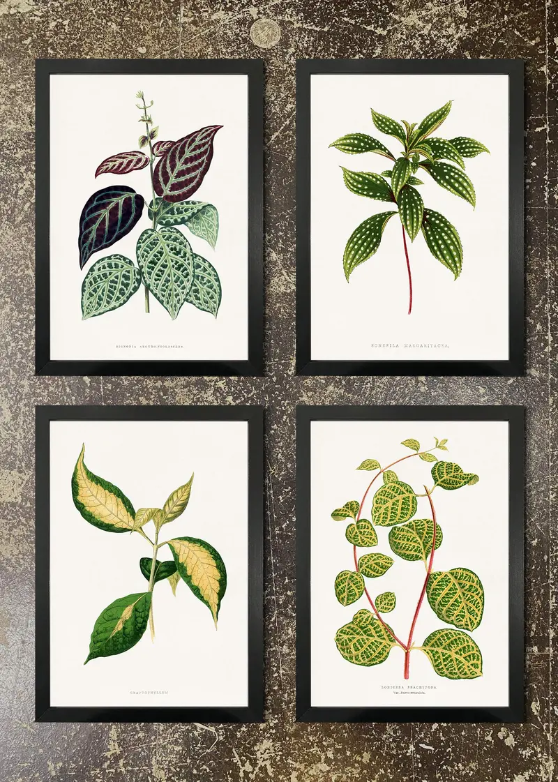 4-Print Botanical Leaf Art Set – Leaf Motif Wall Decor Collection 07 1