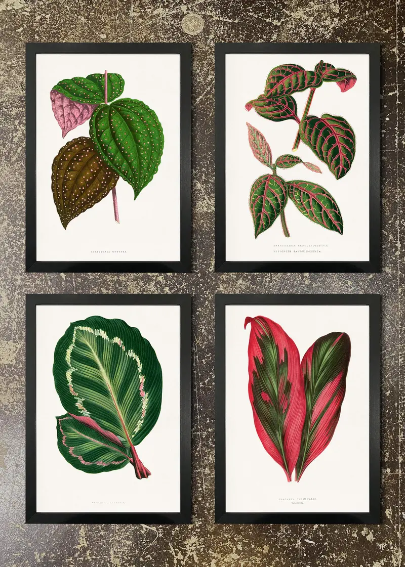 4-Print Leaf Pattern Art Set – Organic Greenery Wall Decor 05 1