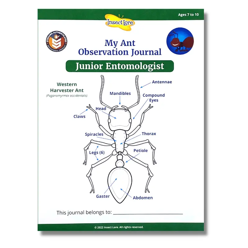 Ant-Focused Stem Activity Journal For Children 1