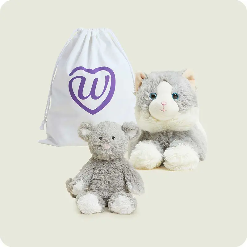 Hide-And-Squeak Interactive Duo Toys 1