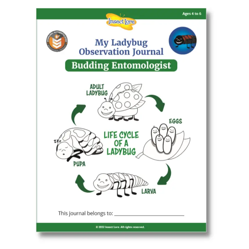 Ladybug-Themed Stem Activity Journal For Kids 1