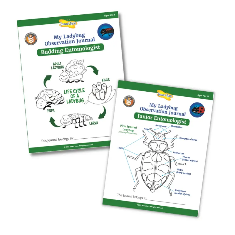 Stem Ladybug Activity Journal Set: Budding & Junior Levels 1